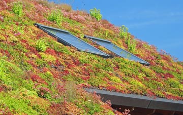 Achnamara living roof systems