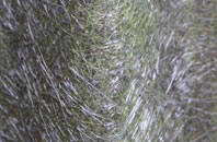 Achnamara fibreglass roof work